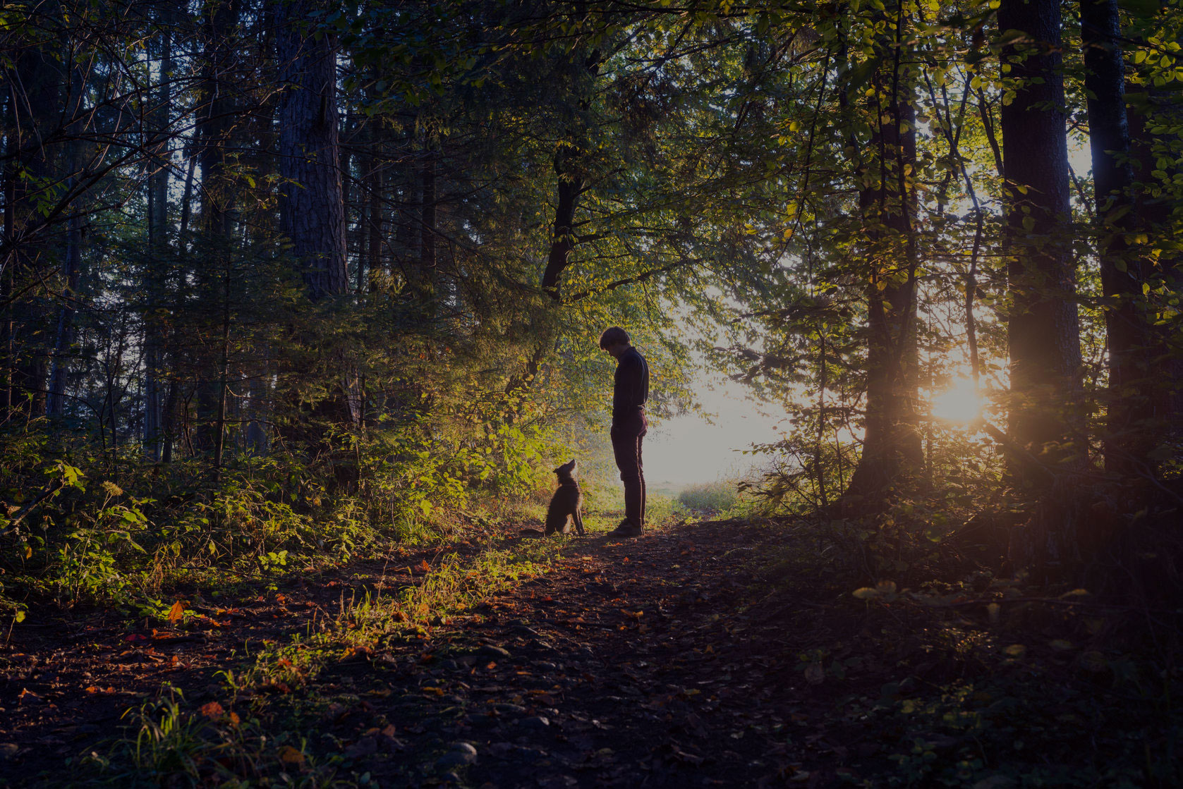 Man walking his dog in the woods standing backlit by the rising sun casting a warm glow and long shadows.