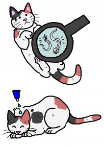 cat worm extermination