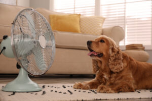 Dog staying cool during hot temperatures, emphasizing heat stroke prevention, proper hydration, shade, and safe summer care to protect pets from heat-related illness.