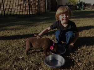 A cute child gave food to the puppy to eat.