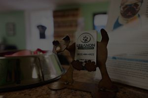 reception table with the focused Lebanon card holder