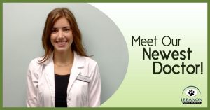 Meet Our Doctor banner