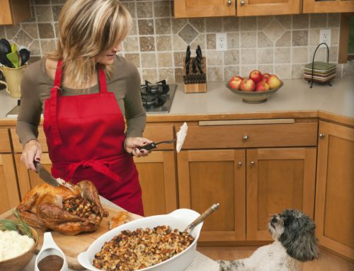Thanksgiving Pet Safety