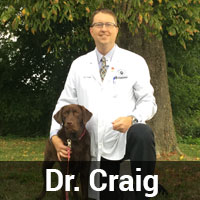 dr-craig