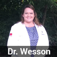 Dr-Wesson