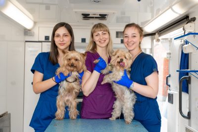 Lebanon Animal Hospital Archives - Vet In Lebanon | Lebanon Animal Hospital