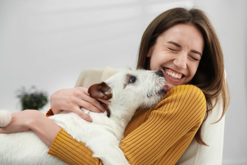 The Importance of AAHA Accreditation for You and Your Pet Vet In