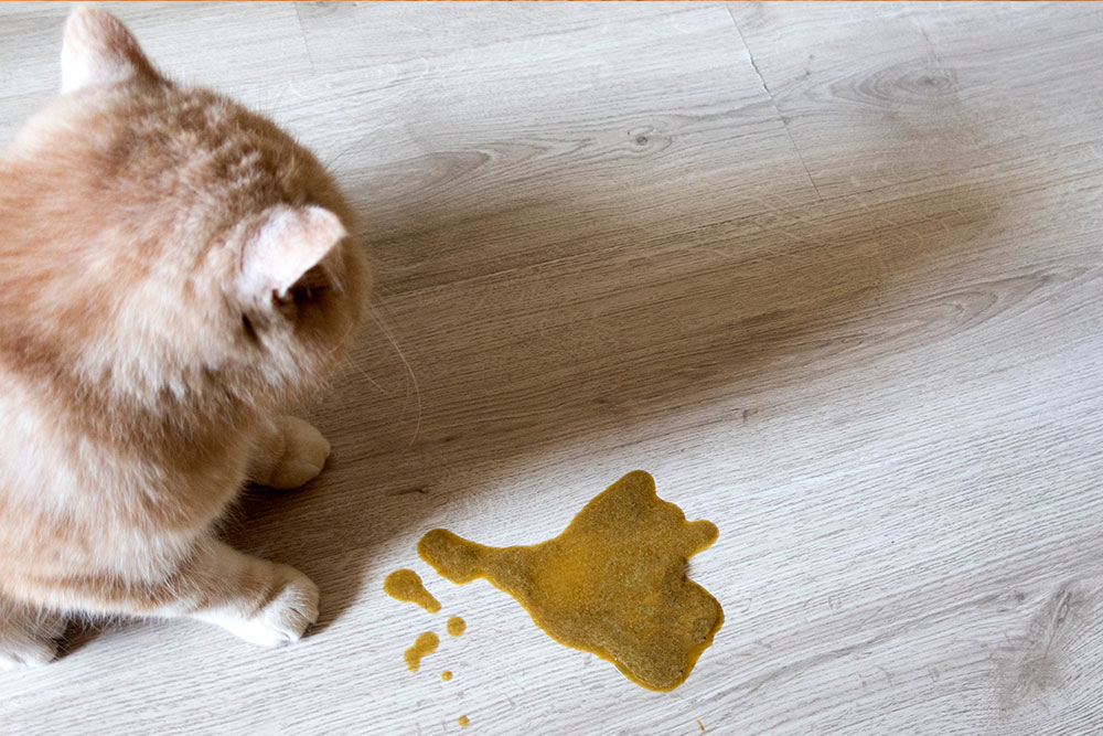 Safety Profile | Shaanxi Bloom Tech Safety Profile | Shaanxi Bloom Tech